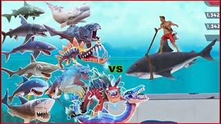 Hungry Shark Evolution - King Of Summer Vs All Sharks 