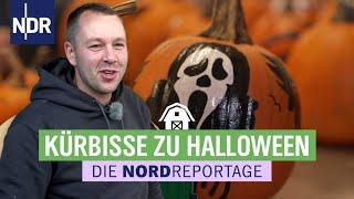 Kürbisernte im Norden: Unheimlich vielfältig  | Die Nordreportage | NDR