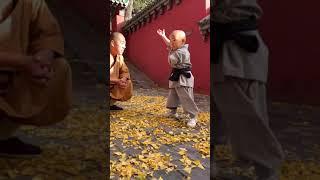 Shaolin Kung Fu #Shorts#monk#bruce lee#jackie chan#yipman#mma#ufc#gym#workout#Muay Thai#wwe