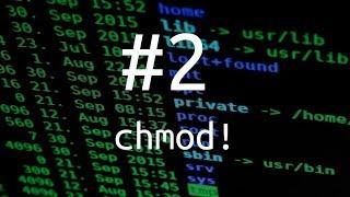 chmod bash command | Linux permissions