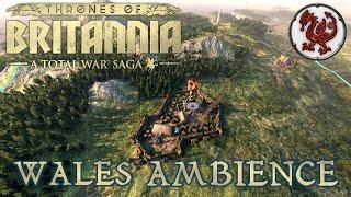 Total War Saga Thrones of Britannia: The Welsh Kingdoms Ambience I ASMR, Studying, Relaxing, Travel