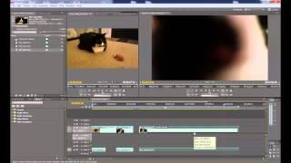 How to use Adobe Premiere Pro CS 5.5 - The Basics : BathroomFX