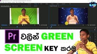 how to key #greenscreen using #adobe #premire.Explained in sinhala[Mstudiolk]