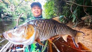 MANCING IKAN HAMPALA ‼️ DI SUNGAI MERAH PEDALAMAN KALIMANTAN TIMUR ‼️ IKANNYA BESAR-BESAR ‼️ 2019