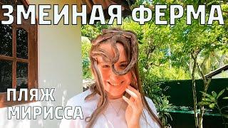 ЗМЕИНАЯ ФЕРМА ШРИ-ЛАНКА 2022. Пляж МИРИССА. ЦЕНЫ в пляжном кафе. #шриланка