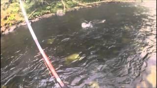 Russian River Slowmo Fish Catch 2