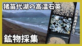 【鉱物採集】猪苗代湖某砂浜の高温石英／そろばん玉状の自形結晶探し！【β-石英／ベータクォーツ】