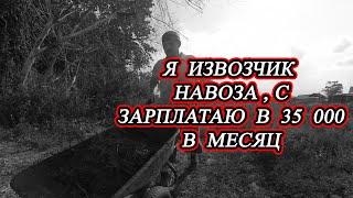 Доход с молока и почему он меньше чем мог быть. Наш лпх.