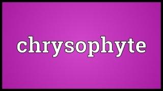 Chrysophyte Meaning