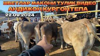 АНДИЖОН КУРГОНТЕПА ШВЕТЛАР МАКОНИ ТУЛИК ВИДЕО 22.09.2024 #обунабулинг