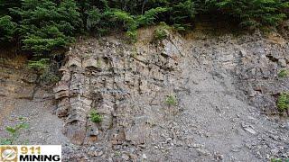 Quartz Viens, Shale & Pyrite Cutting Through Very Oxidized Host Rock