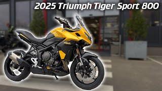 2025 Triumph Tiger Sport 800 | Walkaround