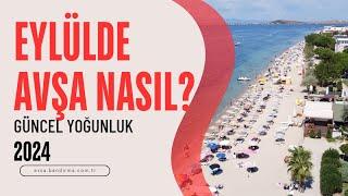 AVŞA ADASI EYLÜLDE NASIL ? KALABALIK MI?