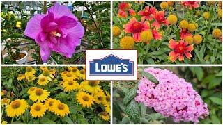 Lowes August CLEARANCE & New Arrivals!