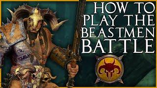 How to play the Beastmen Roster & Battle Strategy | Total War: Warhammer 2