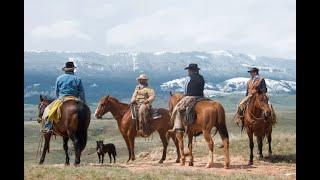 Montana Cattle Drive at Dryhead Ranch