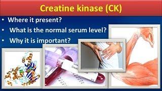 Creatine Kinase(CK)Clear overview.......