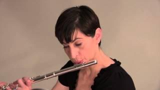 Irish Tunes for flute teaching and fun with Nina Perlove