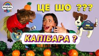 ПЕС ПАТРОН знайшов...КАПІБАРУ ??? • Українські мультики •  Дитячі пісні українською #musicalka_kids