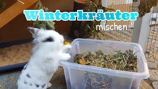 Kräuterfutter für Kaninchen mischen|Bunnys Diary