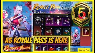 A5 ROYAL PASS IS HERE - 1 TO 100 REWARDS AND 3.0 UPDATE ( BGMI )