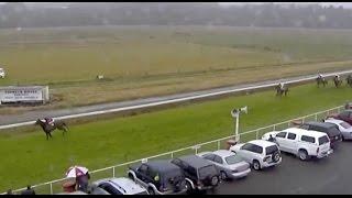 'You Haven't Won, Son': Jockey Misjudges Finish of New Zealand Horse Race