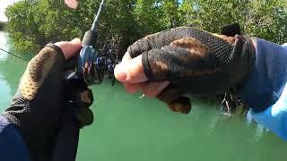 Solarbaits Crankbait - Sight Casting Barramundi - Remote Arnhem Land