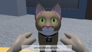 I Am Kitty :Cat Life Simulator HD Android Gameplay 2025