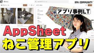 【AppSheet】猫の健康管理もこれでバッチリ通院記録をつけるアプリを作ってみた