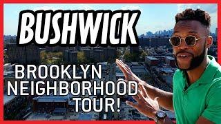 Bushwick, Brooklyn Neighborhood Tour! The Coolest In NYC?