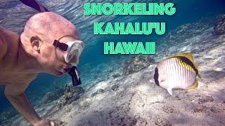 Snorkeling Review - Kahalu'u Beach Park, Hawaii (Big Island)