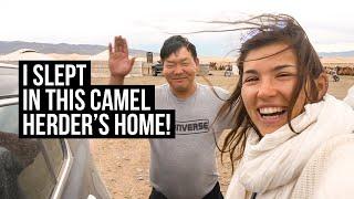 Living with Family in Mongolia (CAMEL HERDERS)