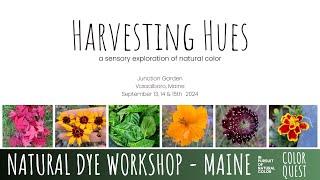 NATURAL DYE WORKSHOP IN MAINE | SEPT 2024 | ORGANIC COLOR | DESTINATION WORKSHOP | JUNCTION GARDEN