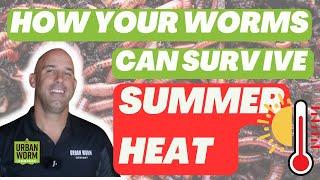 6 Ways to Keep Your Worms Cool During the Summer Heat