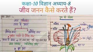 how organisms reproduce ? Class 10 Science Chapter8 Notes in Hindi   jeew janan kaise karte hai ?