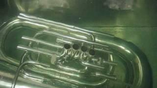 Tuba Ultrasonic Cleaning