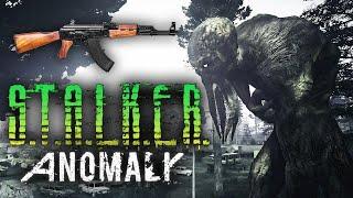 ВЫЖИВАНИЕ В S.T.A.L.K.E.R. ANOMALY (1.5 ОБТ-RC18) - СНОВА ЗОНА, АРТЕФАКТЫ И ВОТ ЭТО ВСЁ (СТРИМ) #25