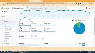 Check out My Website Traffic | Tips to Increase your Website Traffic