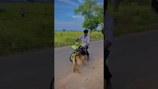 Jack ️(next cmnd #reels #trending #viral #dog #doglover #entertainment #bonding #cycle #pets