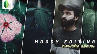 How to edit MOODY DARK Photos in 4 simple steps | New Snapseed Tutorial 2021 Malayalam | Phottam