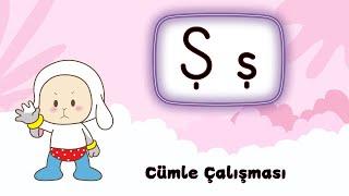 #yenimüfredat Ş sesi cümle çalışması