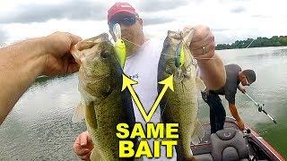 These NEW Crankbaits are AMAZING!!!