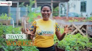 How Two Young Minds Created a Multi-Million Dollar Agricultural Manufacturing Plant In Ghana.