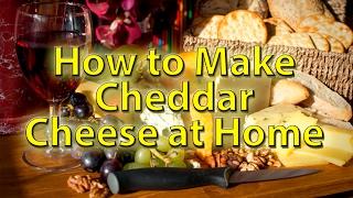 Cheddar Cheese made at home