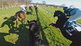 Horse racing | Bratislava | 3. Category - 1600 M | Valorous Influence | GOPRO