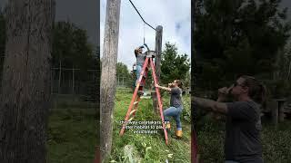 Some of our Safety Procedures || The Wildcat Sanctuary