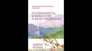 Аджан Брахм — Осознанность, блаженство и за их пределами ч.1 (Аудиокнига) Буддизм тхеравада