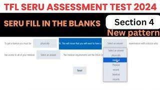 Section 4 SERU Fill in the Blanks New version 2024 | SERU assessment TFL,TFL SERU fill in the blanks