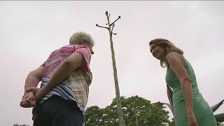 Woman's front yard cactus suddenly shoots up 25 feet, 36 years after planting | Here's why