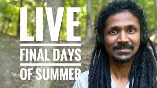 LIVE - Final week of Summer